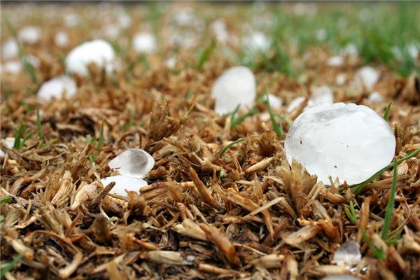 女人梦见下了一阵冰雹