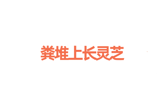 粪堆上长灵芝
