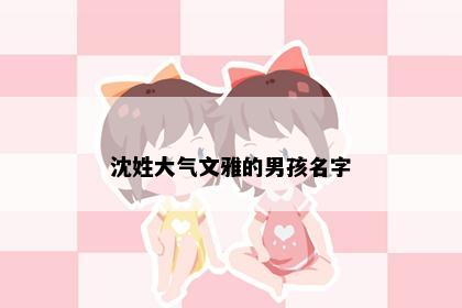 沈姓大气文雅的男孩名字